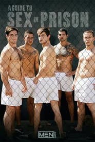 A Guide to Sex in Prison