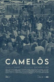 Camelôs