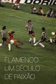 Flamengo: Um Século de Paixão