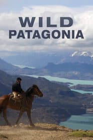 Patagonia Salvaje