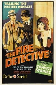 The Fire Detective