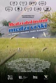 Medzi doľinami, medzi vŕški. Po stopách budúceho zvuku Slovenska.