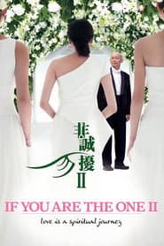 非诚勿扰2