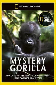 Gorila misterioso