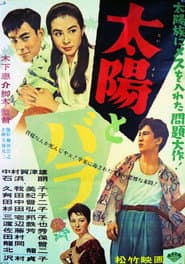 太陽とバラ