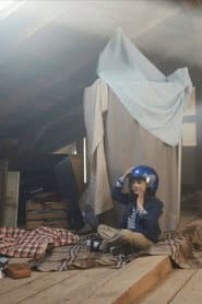 Leoniden