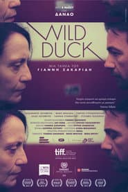 Wild Duck