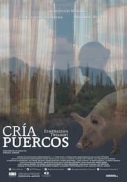 Cría puercos