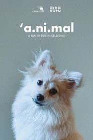 'a.ni.mal