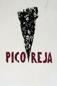 Pico Reja: la verdad que la tierra esconde