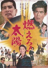 燃えろ！太陽