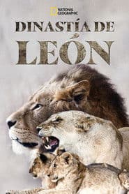 Dinastía de león