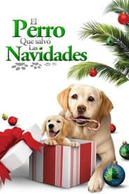 The Dog Who Saved the Holidays