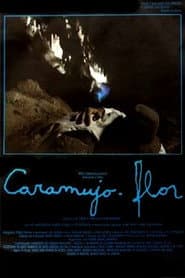 Caramujo-Flor