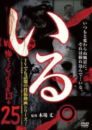 「いる。」～怖すぎる投稿映像13本～　Vol.25