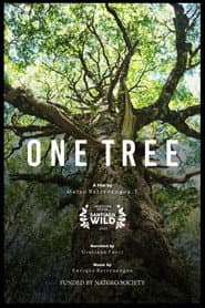 Un Árbol
