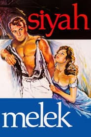 Siyah Melek