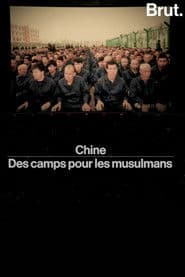 chine——des camps pour les musulmans