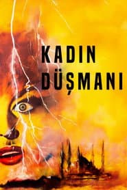 Kadın Düşmanı