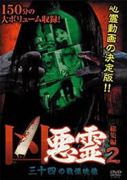 凶悪霊 総集編 2 三十四の戦慄映像