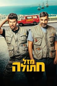 מזל חתולה