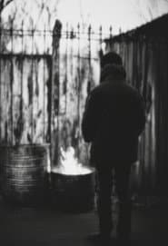 Life in the Shed