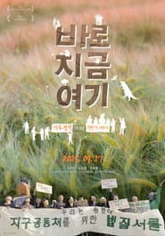 바로 지금 여기