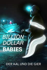 Milliarden Dollar Babies: Große Gewinne mit kleinen Aalen
