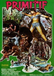 Primitives