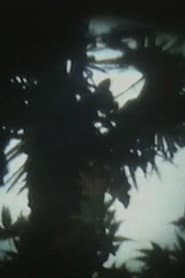 映像書簡5