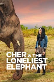 Cher y el elefante solitario