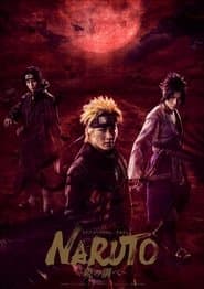 ライブ・スペクタクル NARUTO -ナルト- 〜暁の調べ〜