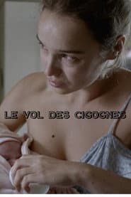 Le Vol des cigognes