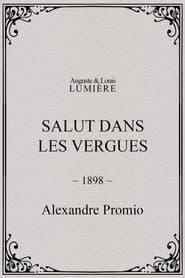 Salut dans les vergues