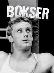 Bokser