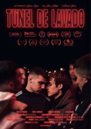 Túnel de lavado