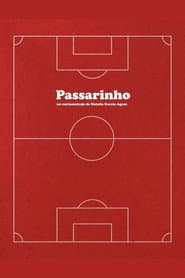 Passarinho