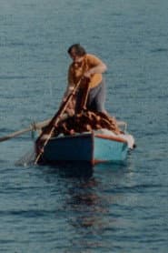 Φούρνοι, μια γυναικεία κοινωνία