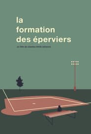 La Formation Des Éperviers