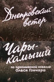 Днепровский ветер. Чары-камыши.