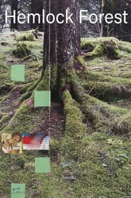 Hemlock Forest