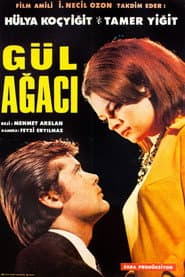 Gül Ağacı