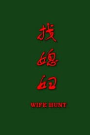 找媳妇
