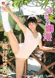 桜井はるか はるか爛漫
