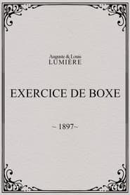 Exercice de boxe