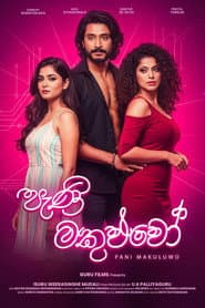 පැණි මකුළුවෝ