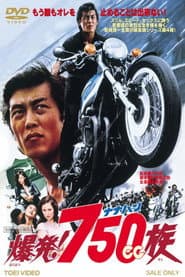 爆発！７５０ｃｃ族