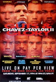 Julio César Chávez vs. Meldrick Taylor II
