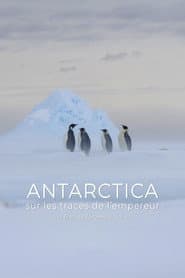 Antarctica, sur les traces de l'empereur