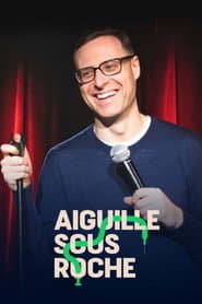 Aiguille sous roche